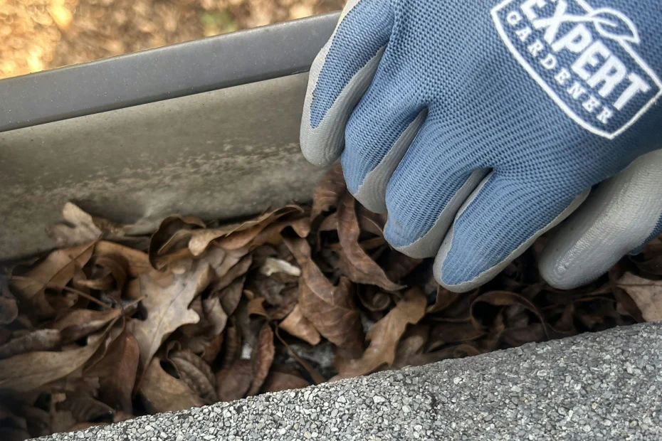 LaFayette Gutter Cleaning
