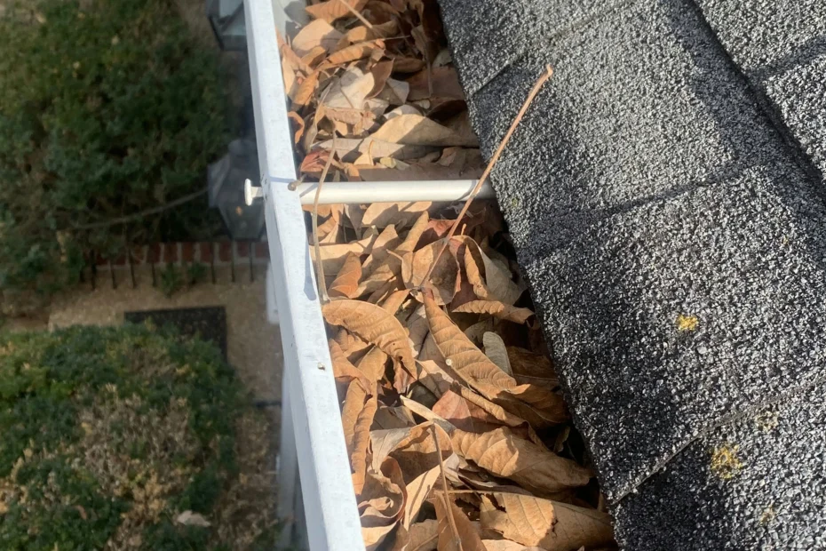 LaFayette Gutter Cleaning