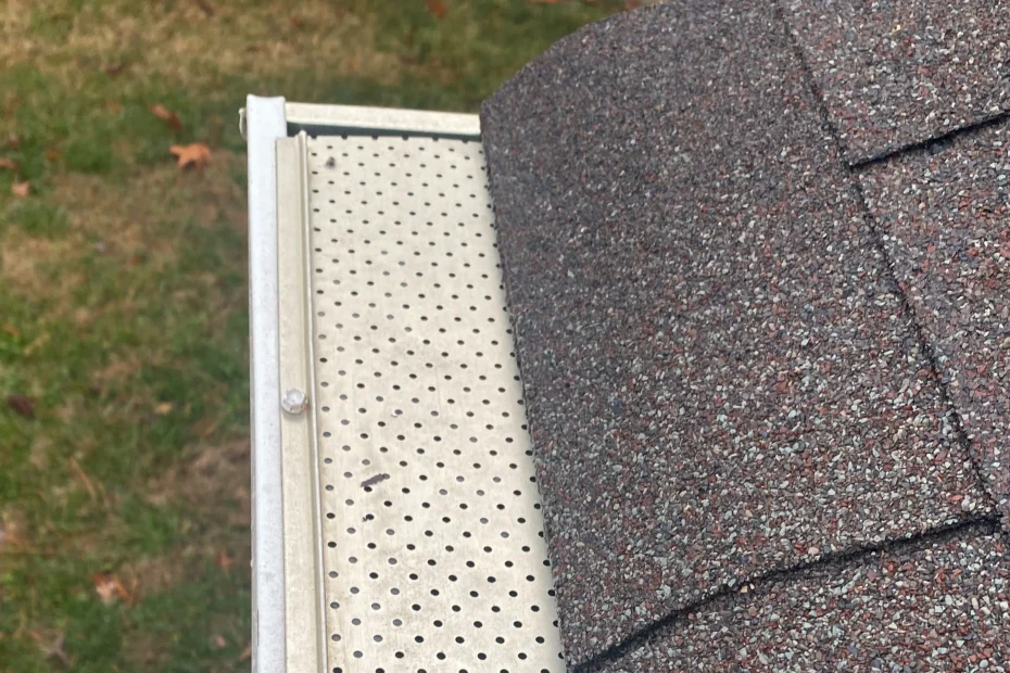 LaFayette Gutter Cleaning