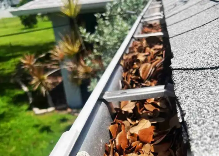 LaFayette gutter cleaning home page